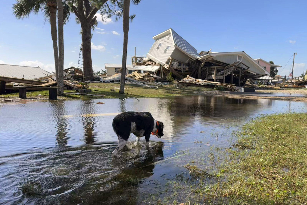 Hurricane Helene Wreaks Havoc Across Florida, Killing 44