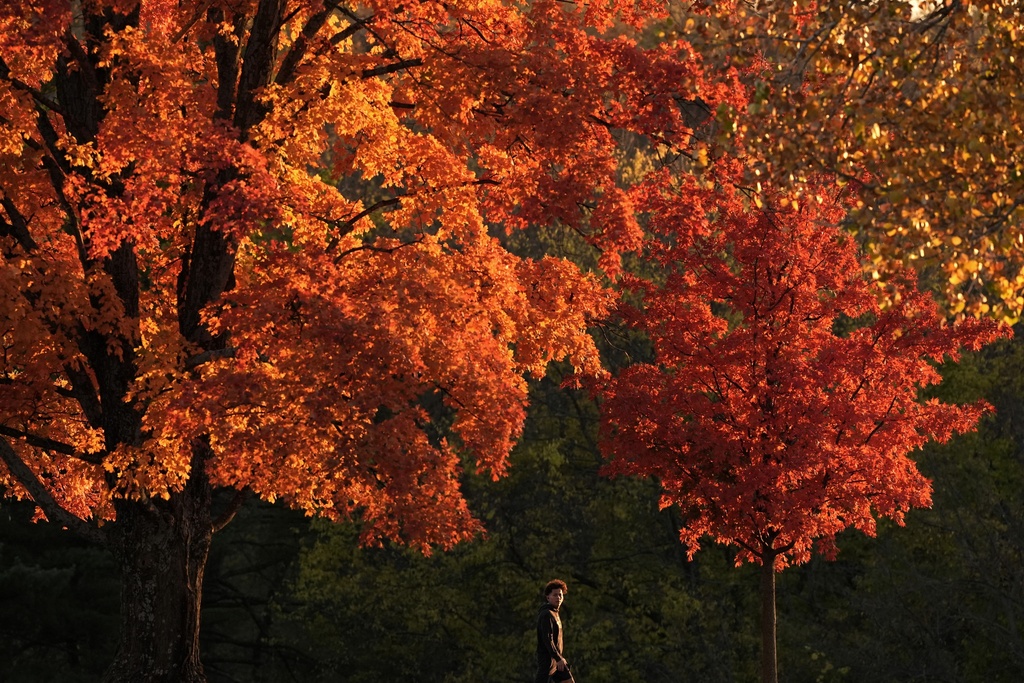 Dry October Sparks Drought and Low Mississippi River Levels