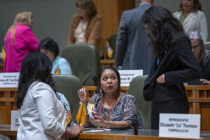 Women Secure Historic Majority in New Mexico Legislature