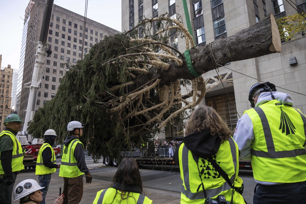 Rockefeller Center Christmas Tree Arrives for Holiday Season