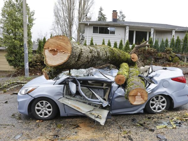 Bomb Cyclone Unleashes Chaos in Pacific Northwest and Beyond