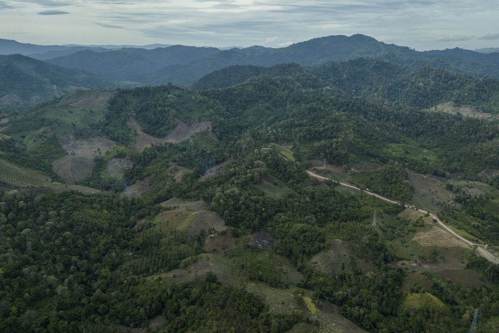 South Korea Faces Backlash Over Indonesian Wood Pellet Imports