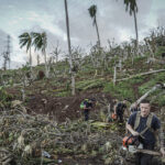 Cyclone Chido Devastates Mayotte: Deadliest Storm in 90 Years