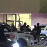 Texas Police Fatally Shoot Motorist After Mall Chase