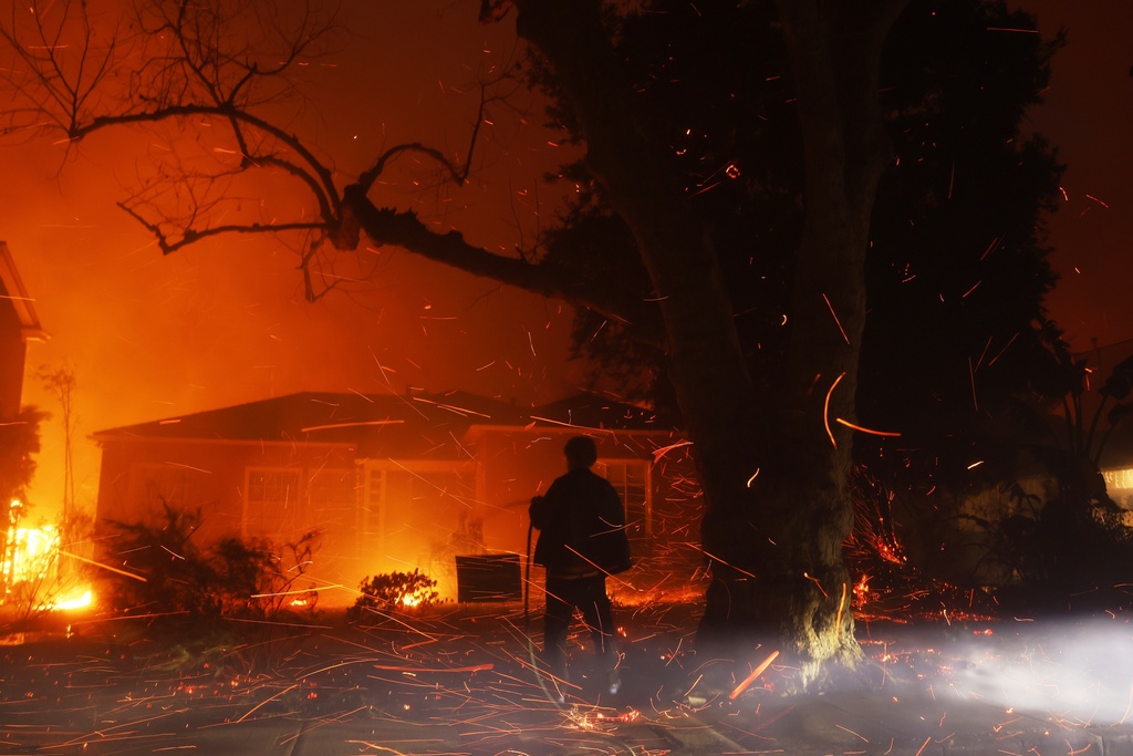 How Embers Fuel Wildfires: The Hidden Danger Explained