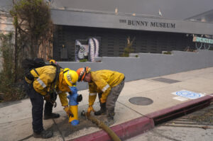 LA Fire Hydrants Fail Amid Devastating Palisades Blaze