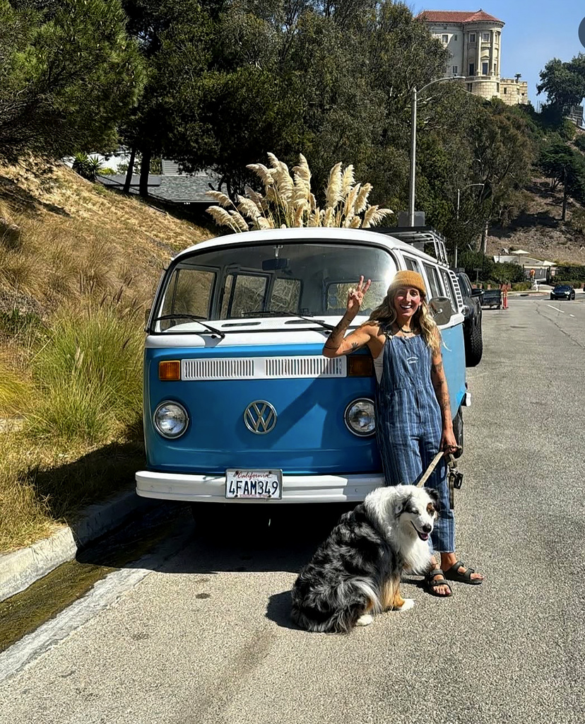 Palisades Fire Leaves Blue Volkswagen Van Untouched