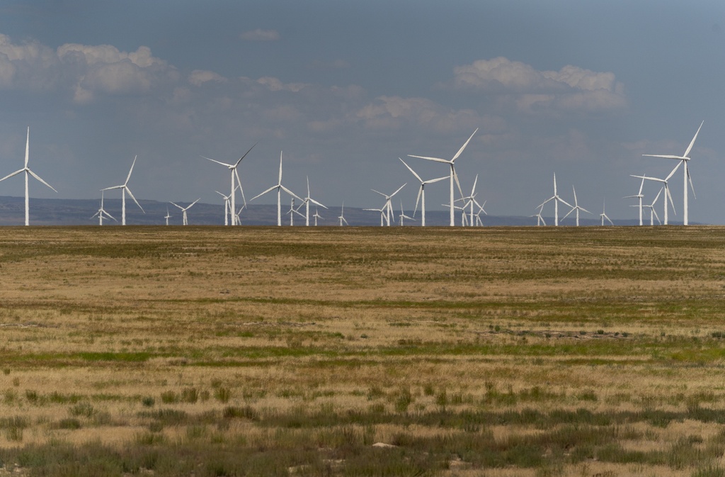 Trump Signs Order to Stop Federal Offshore Wind Leasing