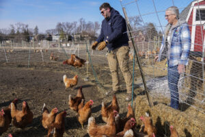 Nevada Suspends Cage-Free Egg Law Amid Soaring Prices