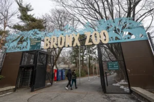 Avian Flu Detected at NYC Zoos, Bird Markets Temporarily Closed