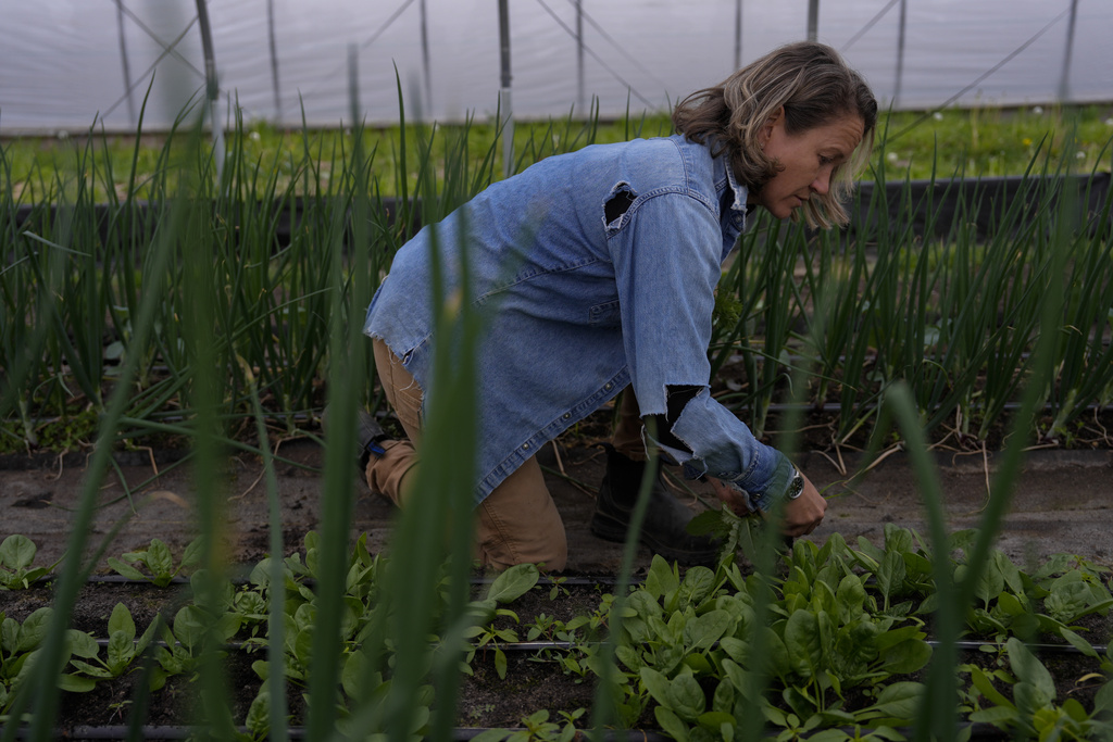 Farmers Face Major Losses as Trump’s Tariffs Take Effect