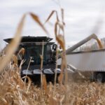 Farmers Face Major Losses as Trump’s Tariffs Take Effect