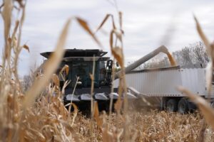 Farmers Face Major Losses as Trump’s Tariffs Take Effect