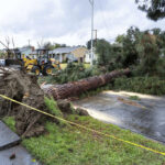 Severe Storm Brings Tornadoes, Wildfires, and Blizzards